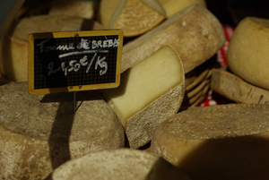 Ewe's milk cheese © Multimdia & Tourisme
