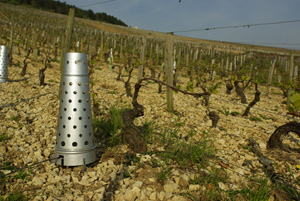 Heating used to fight against the frost in the vineyards © Multimdia & Tourisme